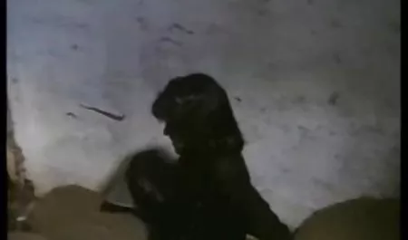 بوگاس سایت فیلم های سکسی (28) دختر هندی