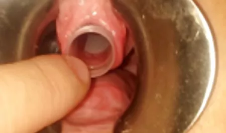 کس کس یورویی Busty بهترین سایت های سکسی تقریباً توسط maledom خراب شده است