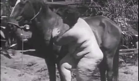 ورونیکا سایت سکسی سقوط من در خودمه