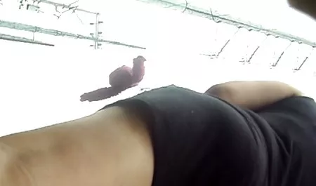 famille de lesbienne1 سایت های رایگان فیلم سکسی