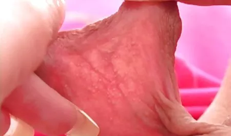 خانم هریس ، استراحت می بهترین سایت های سکسی خارجی کند.