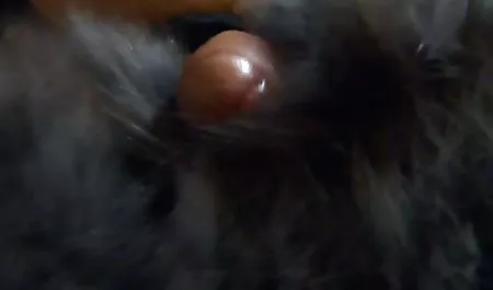 بیب ها معروفترین سایت های سکسی - ساقه هایی با کلیپ Franck Franco و Carol Vega