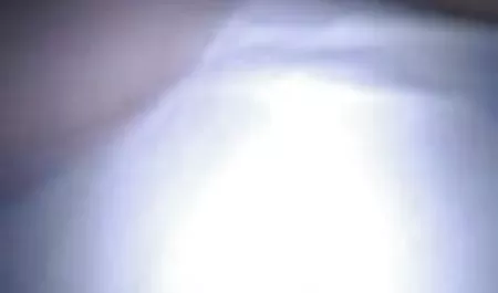 پارک های مرحله ای معرفی سایت های سکس شاخی sis trisha