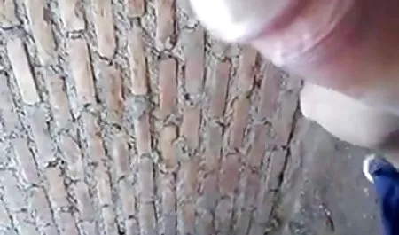 NIVEAU 5 - تست پسورد سایت های سکسی