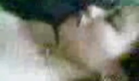 تحقیر یک برده قسمت سایت فیلم های سینمایی سکسی 2