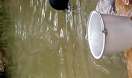 Babes - کلیپ جینا Devine و Neeo با ستاره های Sea of سایت های سکسی برازرس ​​Green